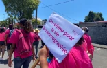 vague rose à saint-benoît 2022