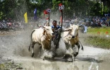AFP