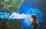 COP15: l'objectif de protéger 30% de la planète retenu dans le projet d'accord