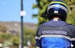 Gendarmes