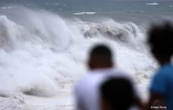 Cyclone Freddy