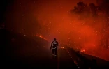 AFP