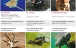 AFP