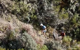Grand raid Marla