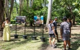 Une exposition itinérante au cœur des zones humides de Saint-Paul