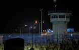 AFP