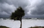 Cyclone Freddy