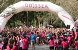 Odyssea 2022