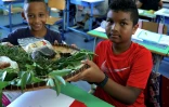 Des tisanes lontan entre marmailles et gramounes