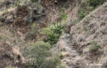 Grand Raid 2022 Roche plate