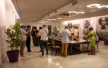 Exposition « Femmes artistes » à l’occasion du 8 mars Le Port