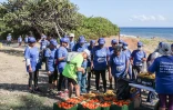 Saint-Denis : Une vague bleue humaine sur le front de mer