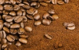 cafe?-saint-louis-madoi-muse?e1-1