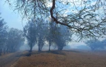 img-0876-1
