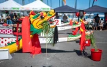 Dragon boat - Le Port