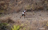 Grand Raid 2022 roche plate