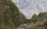 grand raid sentier scout5