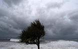 Cyclone Freddy