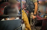contrôle de la gendarmerie sur le réseau de transport urbain Saint-Louis