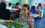Des tisanes lontan entre marmailles et gramounes