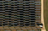 AFP