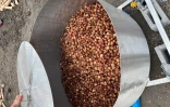 record du monde rougail saucisses à La Possession