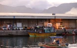 migrants sri lanka sri lankais bateau port port ouest la re?union navire clandestins8