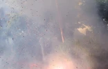 Célébration du nouvel an chinois à Saint-Denis