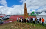 Tour d'ananas au Tampon, Record du monde de la plus haute pyramide de fruits