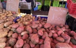 chambre-dagriculture-fre?de?ric-vienne-prix-fruits-le?gumes-hausse-inflation4