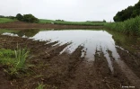 Des agriculteurs impactés par les fortes intempéries dans l'est
