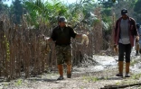 AFP