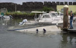 bateau dans l'eau au port de Sainte-Marie, passage de freddy (Photo : sly/www.imazpress.com)