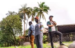 Culture - Musique - Bisik