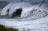 Cyclone Freddy