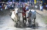 AFP