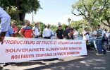 Lundi 13 février 2023 - Manifestation des planteurs devant la préfecture