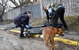 Ukraine: Des enquêteurs de l'ONU accusent Moscou de crimes de guerre