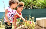 Aménagement d'une jardinière commune à Saint-Denis