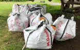 PropRéunion ramassage déchets 12/03/2023