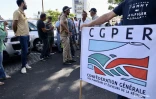 Lundi 13 février 2023 - Manifestation des planteurs devant la préfecture