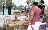 fête de l'agri-culture à Saint-Paul