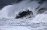 Cyclone Freddy
