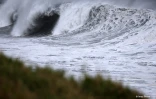 Cyclone Freddy