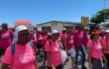 vague rose à saint-benoît 2022