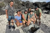 Une tortue imbriquée secourue grâce à la vigilance de pêcheurs à la Pointe au Sel