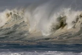 houle en bord de mer avec de grosses vagues