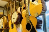Luthier