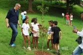 opération 1 naissance 1 arbre