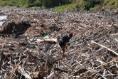 ramassage déchets après le cyclone 